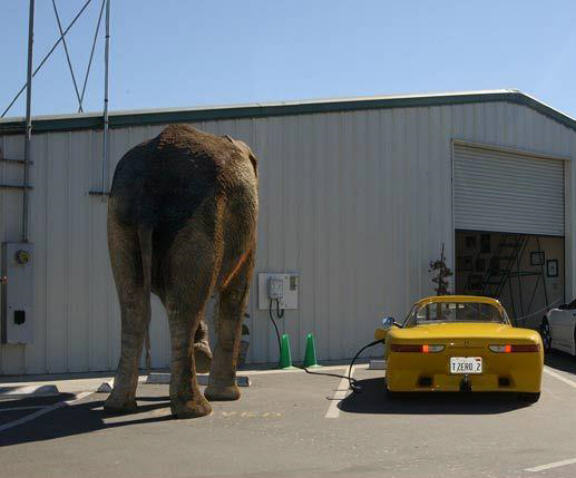 There are two T-zero running Lithium EV cars, but hundreds of NiMH EVs